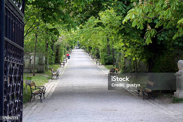 Cementerio De Entrada Foto de stock y más banco de imágenes de Austria - Austria, Avenida, Bulevar