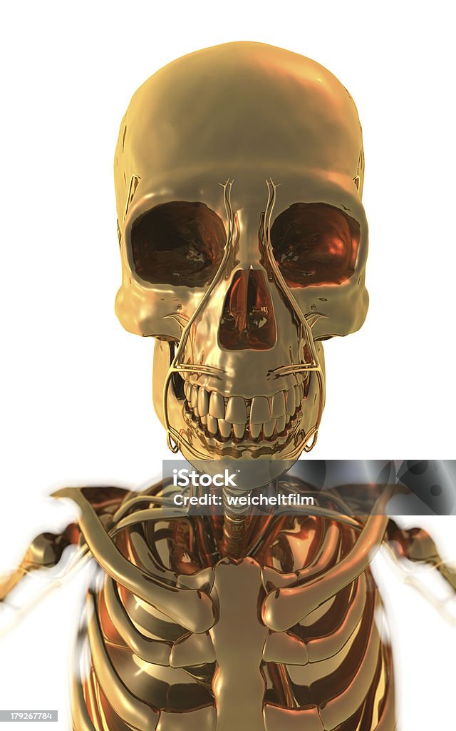 Golden esqueleto - Foto de stock de Abstracto libre de derechos