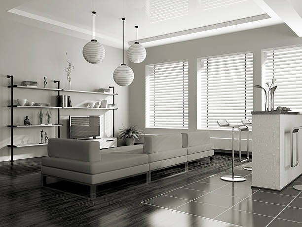 moderno interior (sepia) con sofá - macro chair domestic room contemporary fotografías e imágenes de stock