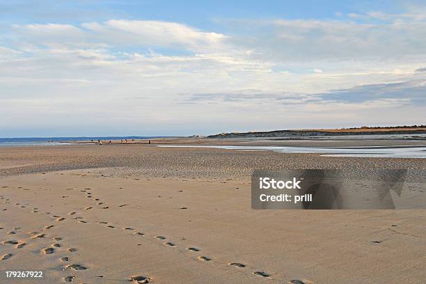 Spiaggia Crane Vista Panoramica - Fotografie stock e altre immagini di Acqua - Acqua, Ambientazione tranquilla, Ambiente