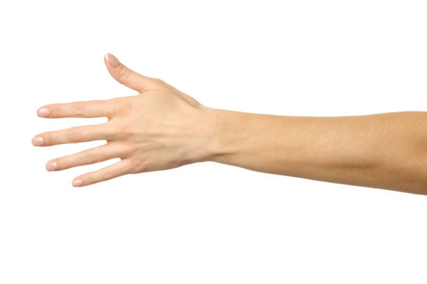 istock Reaching hand. Woman hand gesturing isolated on white 1792682001