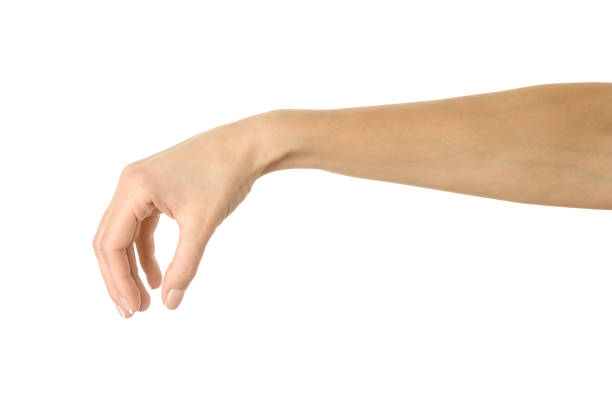 istock Hand picking, holding, grabbing or reaching. Woman hand gesturing isolated on white 1792682015