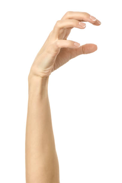istock Pulling, grabbing, reaching or scratching. Woman hand gesturing isolated on white 1792682044