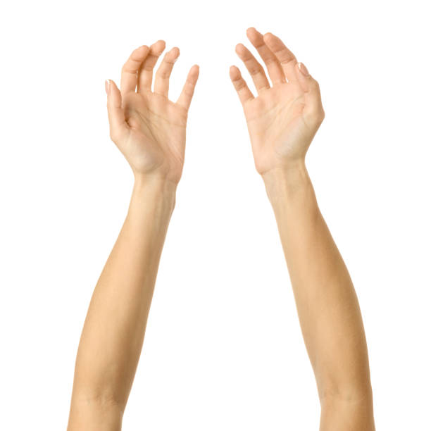 istock Reaching hand. Woman hand gesturing isolated on white 1792682072