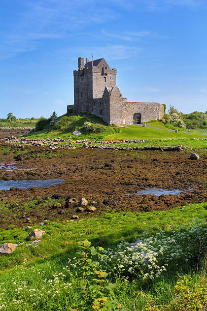 château de dunguaire près de kinvarra - kinvara photos et images de collection