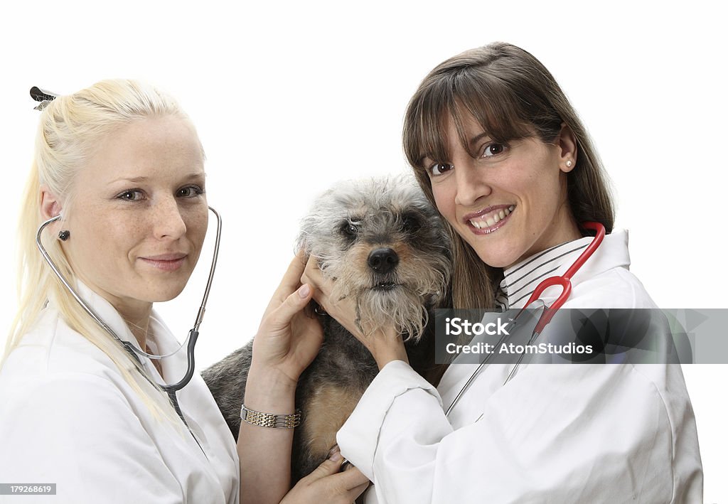 Amorevole veterinari - Foto stock royalty-free di Abbracciare una persona