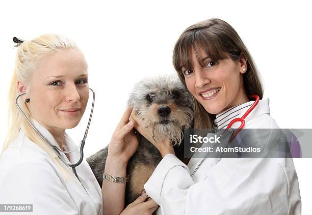 Amorevole Veterinari - Fotografie stock e altre immagini di Abbracciare una persona - Abbracciare una persona, Accarezzare un animale, Adulto