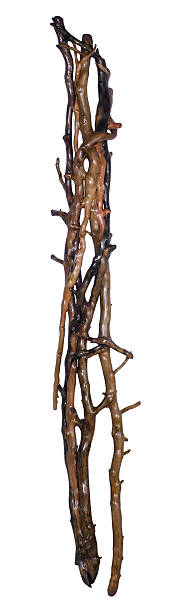 istock wooden twig connection 179268725