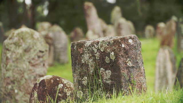 Old ancient Jewish cemetery in summer spring day. green grass and many ancient stones. Headstone Headstones Tombstones jewish grave