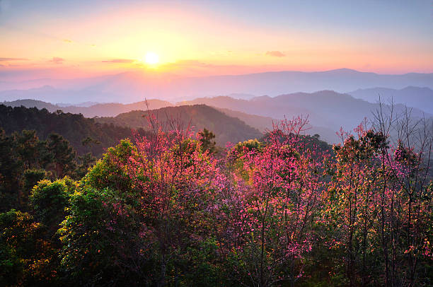 istock Colorful autumn sunset in the mountains 179269124