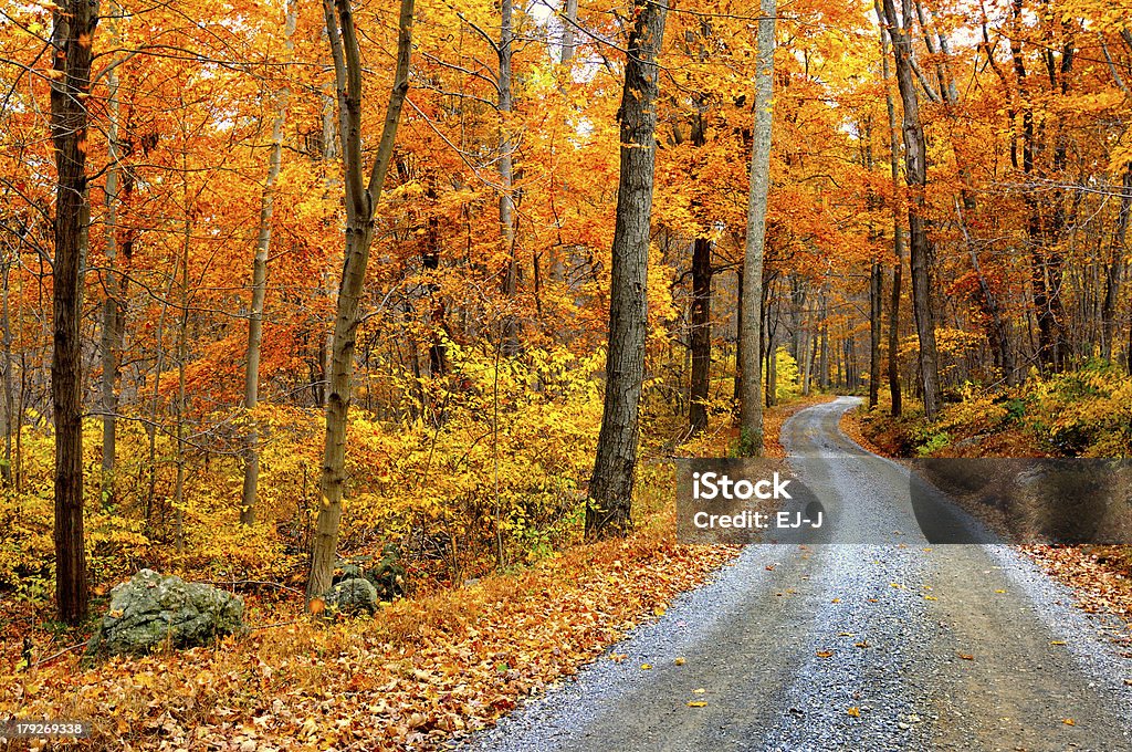 Winding Mountain Road in Autumn Vivid fall colors in October along country road. Autumn Stock Photo