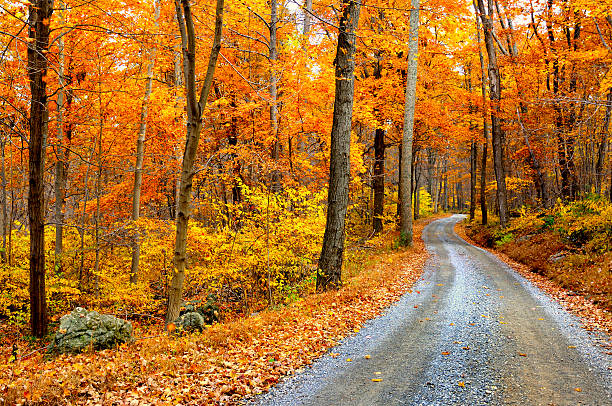 Winding Mountain Road in Autumn stock photo