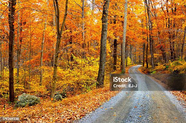 Winding Mountain Road In Autumn Stock Photo - Download Image Now - Autumn, Footpath, Single Lane Road