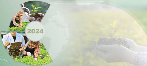 Agro businesses