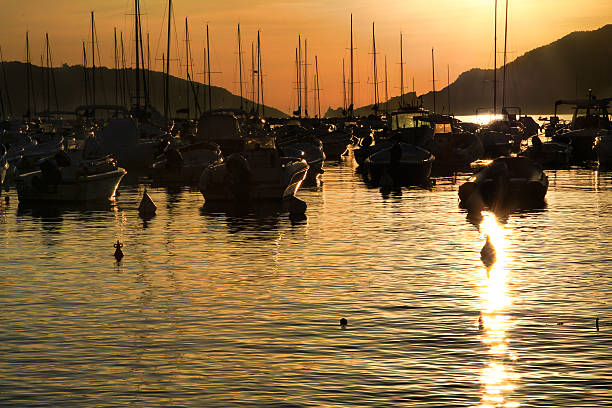 Lerici, a sun reflection between the boats stock photo