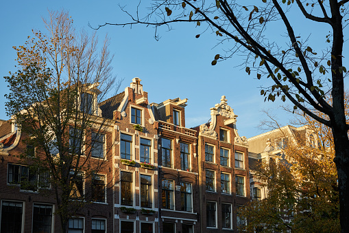 Street with canal houses and autumn tree at sunset in Amsterdam The Netherlands.