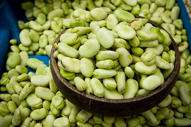 Fava Beans Fava Beans a local Ecuadorian food staple, the food in Ecuador is fresh, organic and healthy. broad bean plant stock pictures, royalty-free photos & images