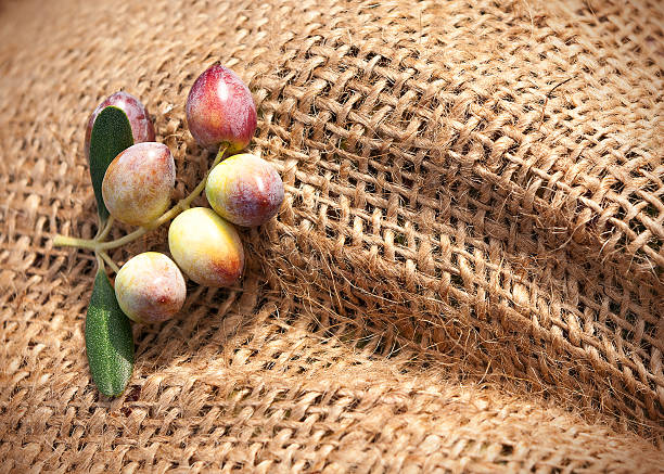 Fragment of a knotted sack with olives stock photo