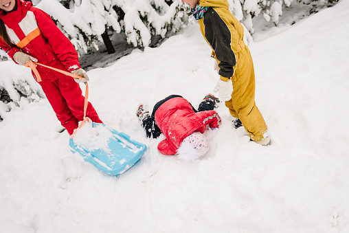 Children are rolling down hill on sledge in forest. Kids fall into snow and lie. Happy funny childs ride sled on snowy road in mountains. Family walks during snowfall in the park on a winter day.