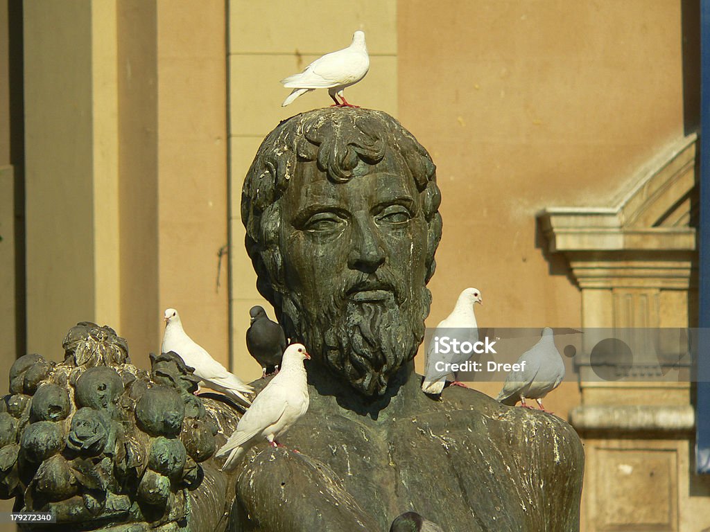 Palomas blancas y una gris claro - Foto de stock de Ala de animal libre de derechos