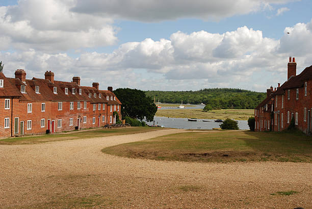 Bucklers difícil no New Forest, Hampshire, Inglaterra. - foto de acervo