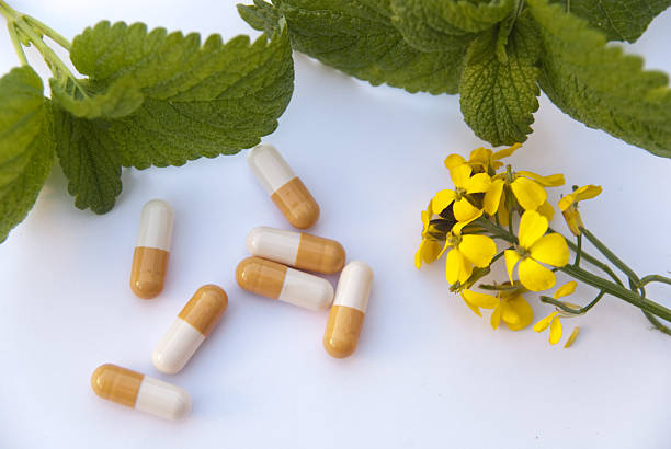 de farmacia - chinese medicine nutritional supplement herb pill fotografías e imágenes de stock