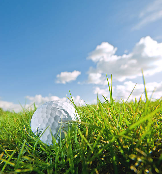 istock golf ball on grass of bunker with sky background 179274561