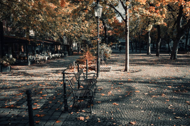 Restaurant in an autumn city stock photo