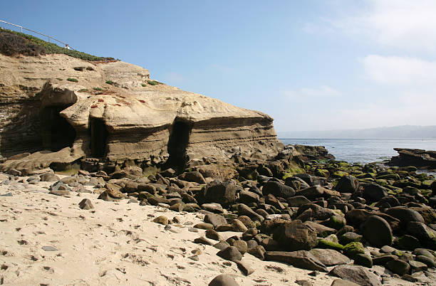 istock La Jolla Cove beach background 179274632