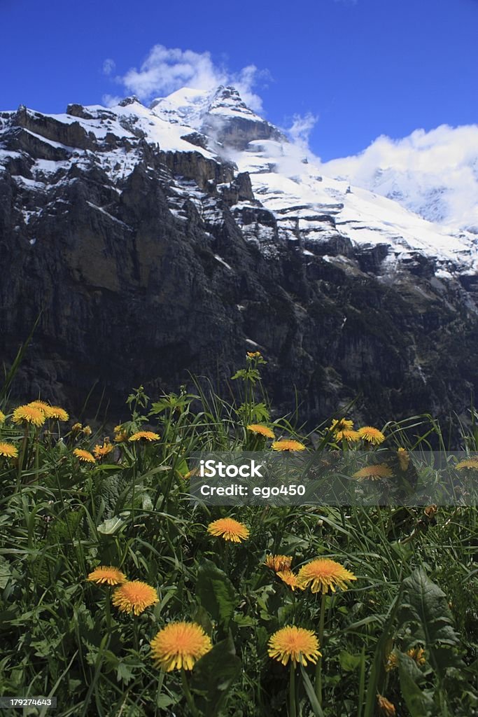 Svizzera - Foto stock royalty-free di Alpi