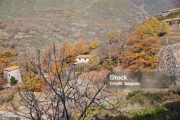 Photo libre de droit de Maisons Guijo Travail banque d'images et plus d'images libres de droit de Arbre fruitier - Arbre fruitier, Automne, Espagne