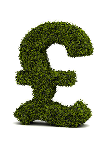 herbe livres sterling - pound symbol environment grass currency photos et images de collection