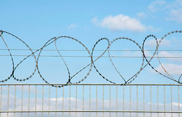 Science Behind Razor Wire 5,400+ Razor Wire Stock Photos, Pictures & Royalty-Free Images - iStock