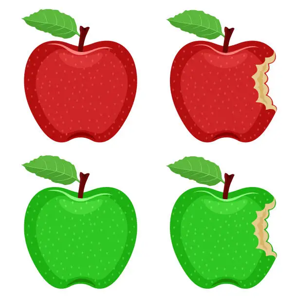 Vector illustration of Apple Bite vector set