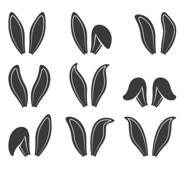 Rabbit ears vector set vector art illustration