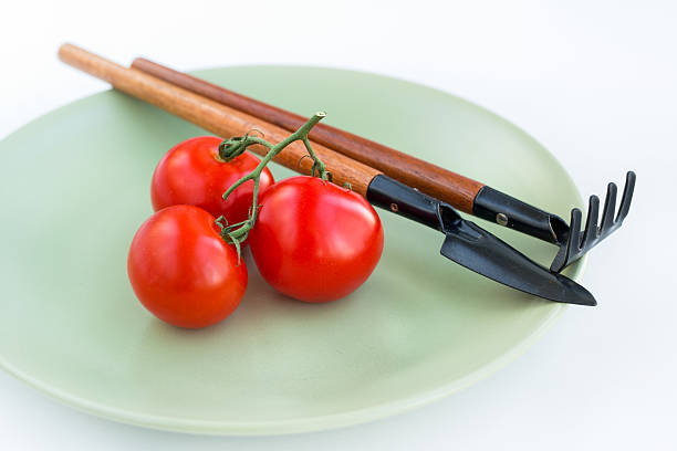 Tres tomates recuéstese en una placa - foto de stock
