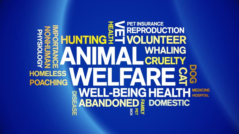 Animal Welfare animated word cloud,animation kinetic typography seamless loop.