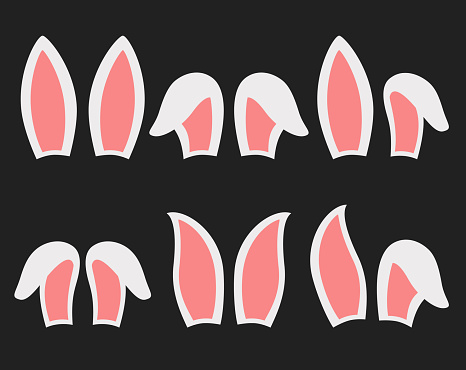 Rabbit ears vector illustration