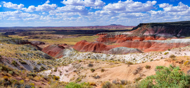 istock Painted Desert National Park 1792763003