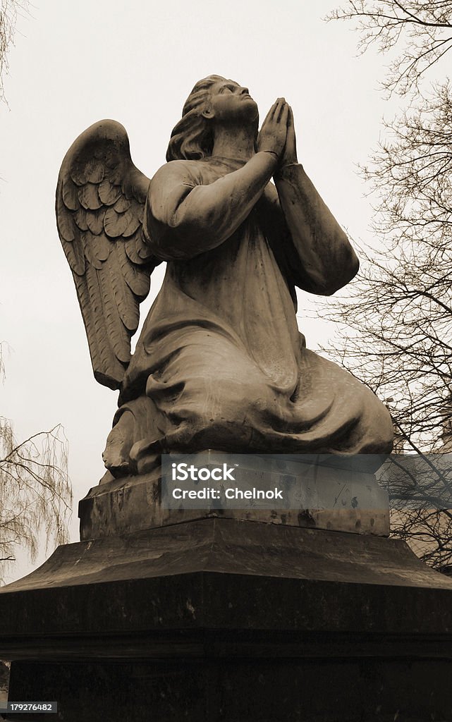 Angel. Sépia - Foto de stock de Apodrecer royalty-free