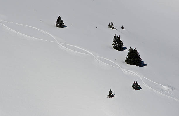 istock Fresh Ski Tracks in the Alpine Powder Snow 179276523