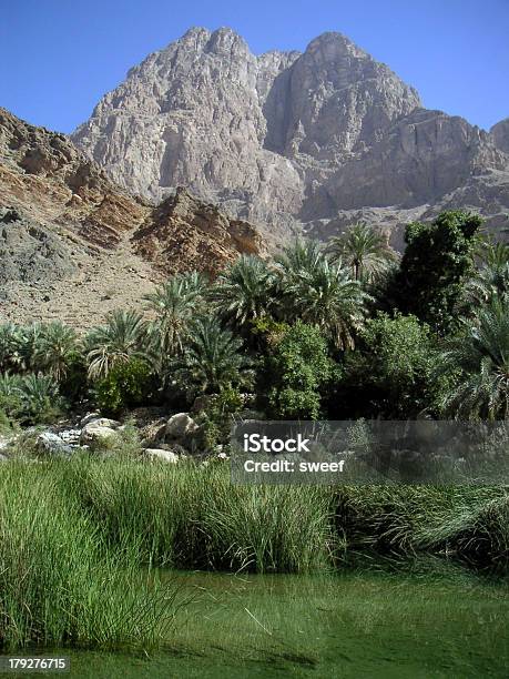 Oman - Fotografie stock e altre immagini di Acqua - Acqua, Albero, Alveo