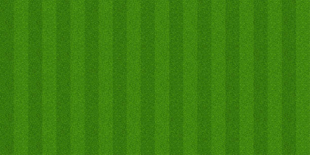 ilustraciones, imágenes clip art, dibujos animados e iconos de stock de amplio campo de fútbol de fondo con césped rayado - terreno fenómeno natural