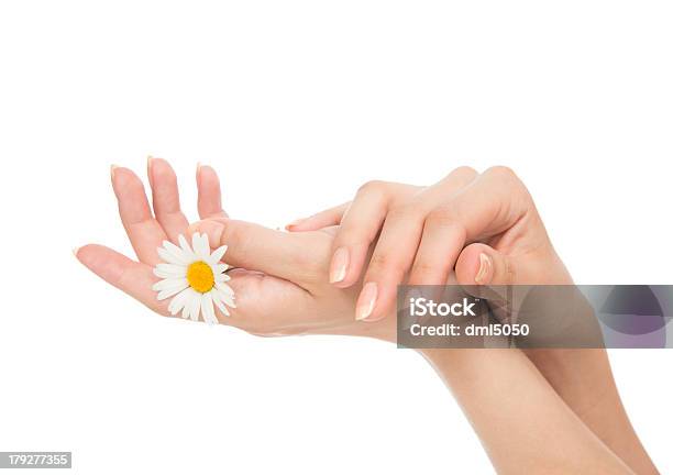 Piękna Kobieta Ręce Z Francuski Manicure Rumiankowa - zdjęcia stockowe i więcej obrazów Aromaterapia