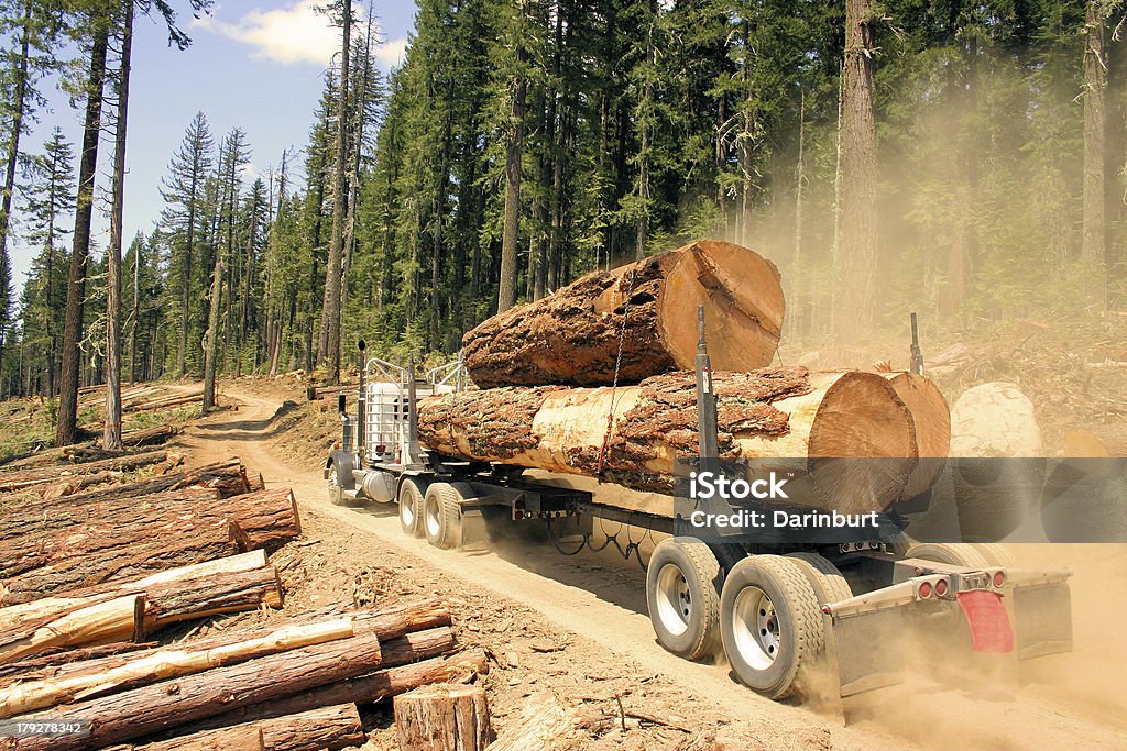 大きな木製 - トラックのロイヤリティフリーストックフォト