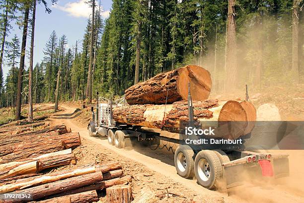 大きな木製 - トラックのストックフォトや画像を多数ご用意 - トラック, 木材産業, トラック輸送