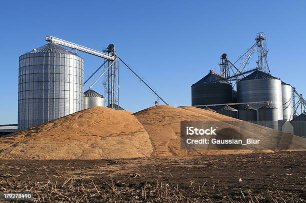 Silo - Fotografie stock e altre immagini di Abbondanza - Abbondanza, Acciaio, Agricoltura