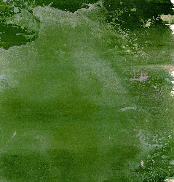 istock Abstract Watercolor nature painting 179278654