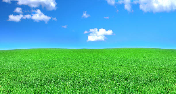 istock panoramic view of peaceful grassland 179278716