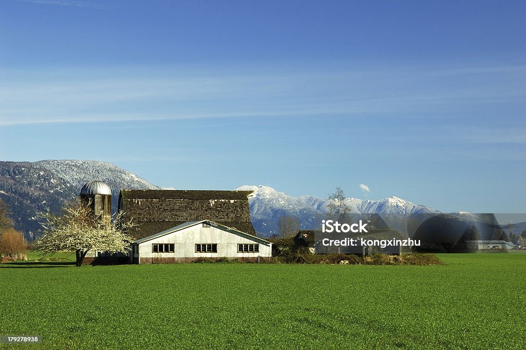 farmland de Fraser Valley - Foto de stock de Fraser - Michigan libre de derechos